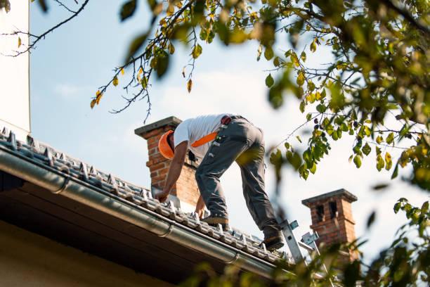 Fast & Reliable Emergency Roof Repairs in Langley, WA